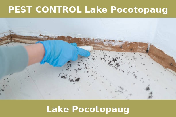 PEST CONTROL Lake Pocotopaug